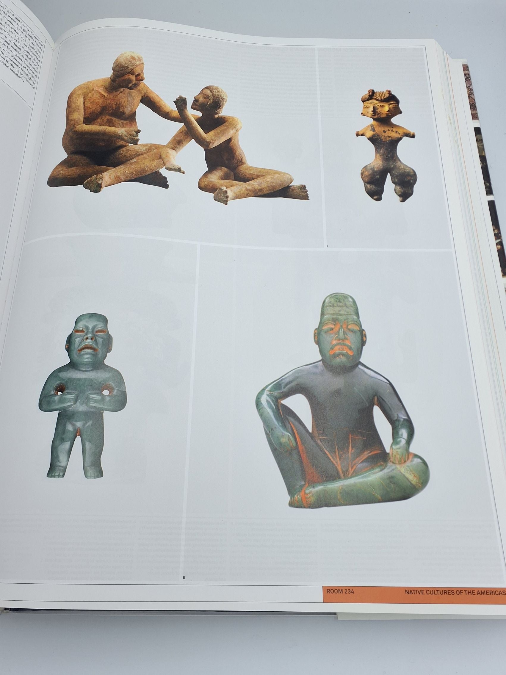 Bog: The Art Museum
