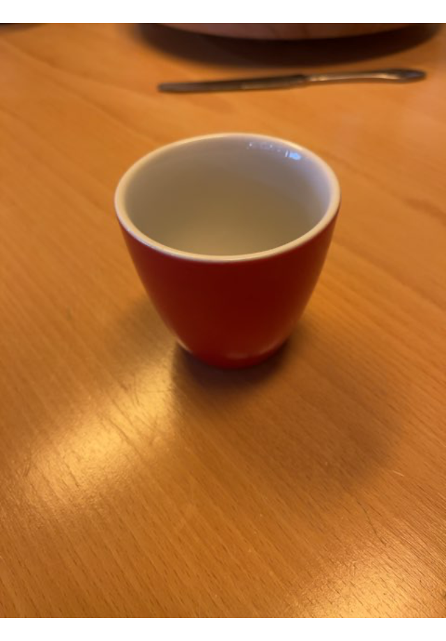Bodum