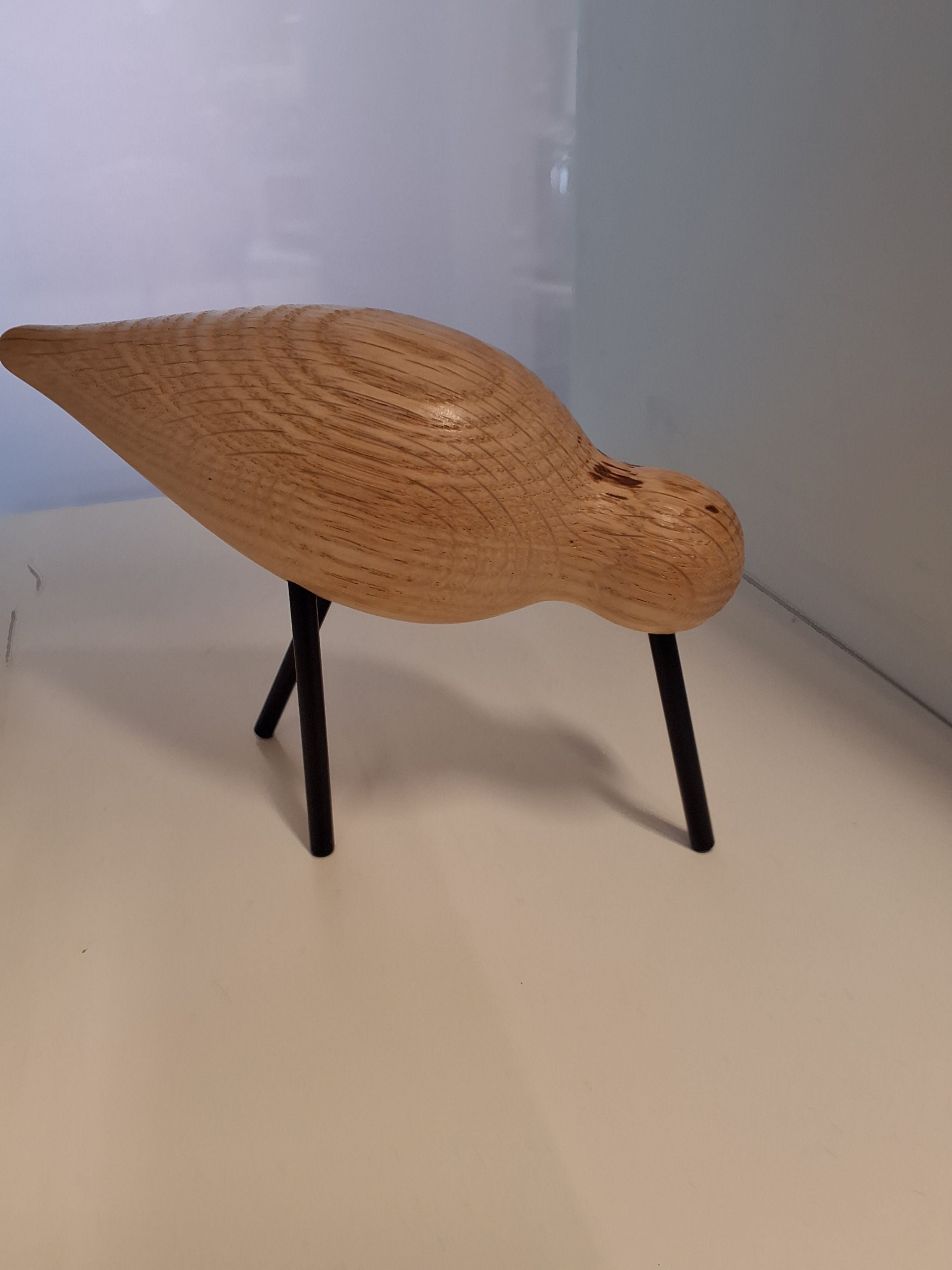 Shorebird-fugl