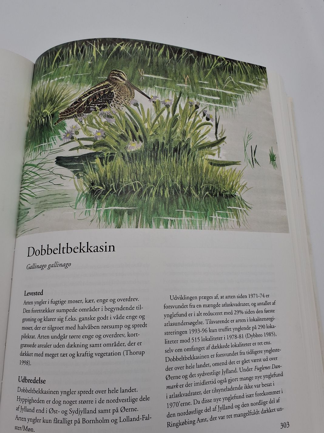 Fuglenes Danmark