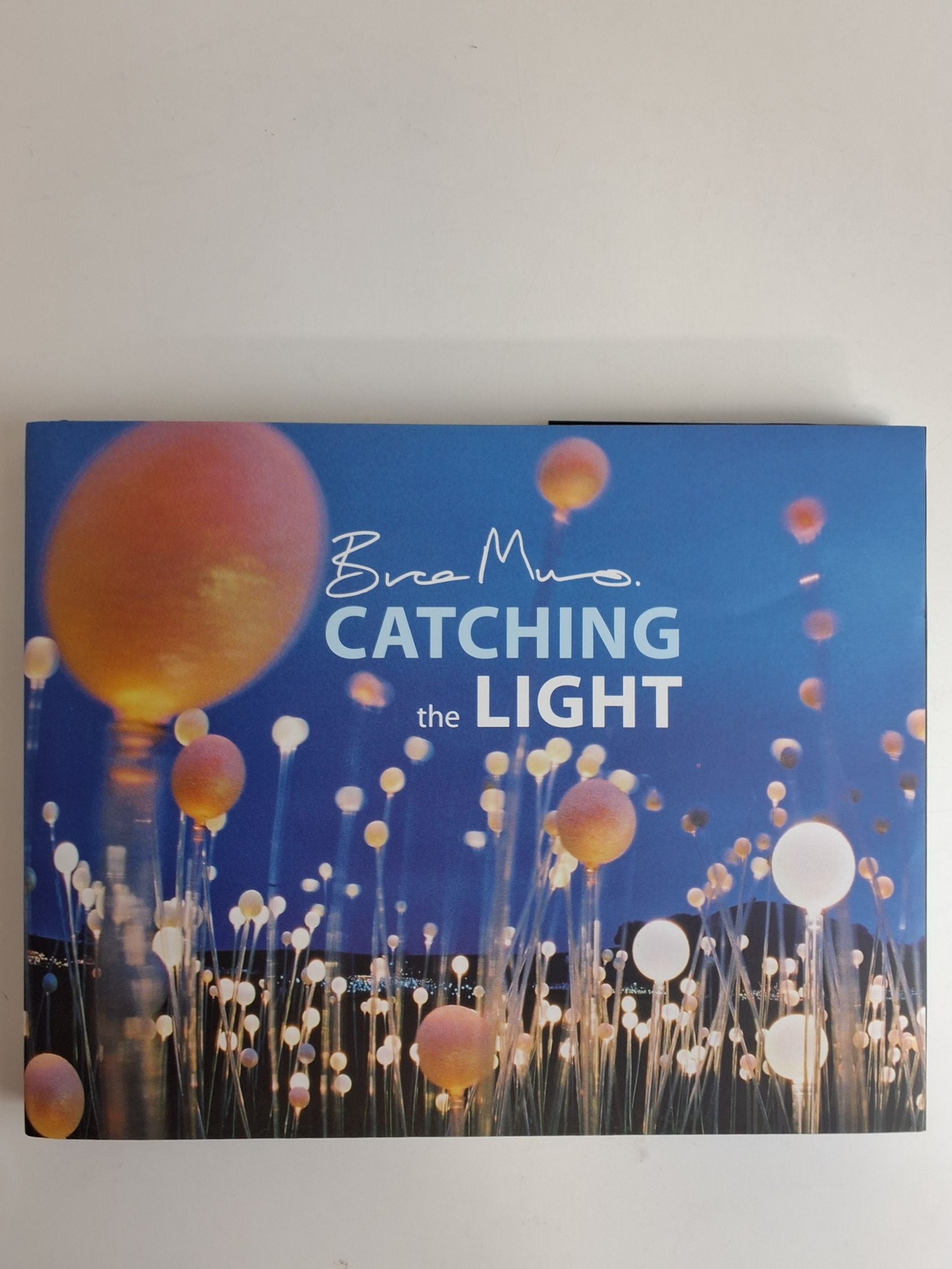 Bog: Catching the light, Bruce Munro