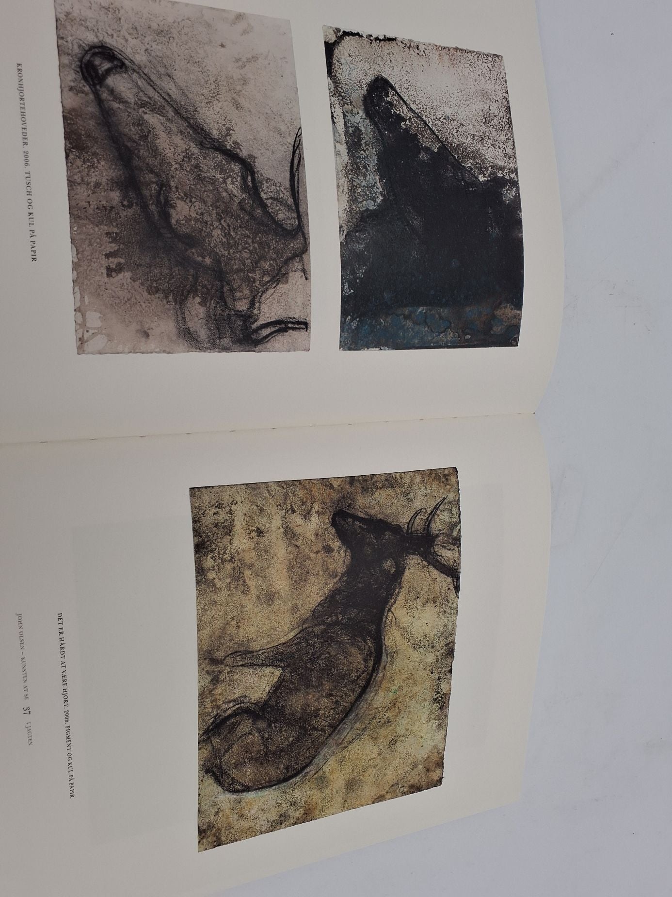 John Olsen-kunsten at se, En biografi, af Erland Pormose
