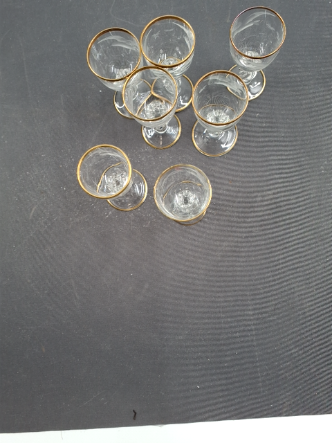 Snapseglas måge