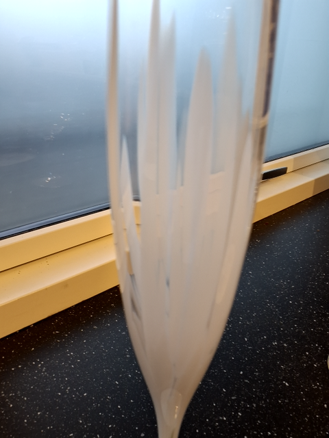 Vase vintergæk