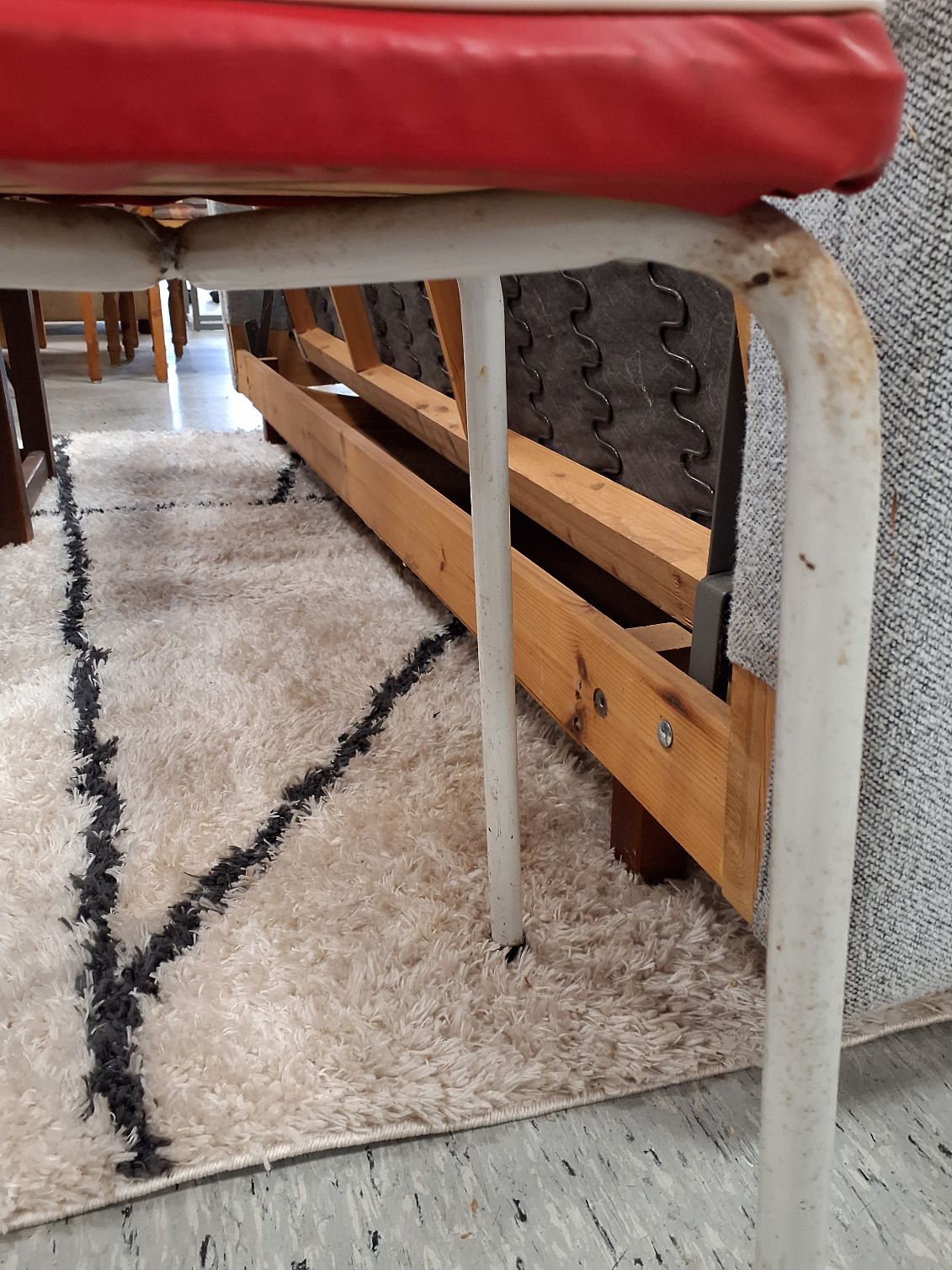 Rød skamel