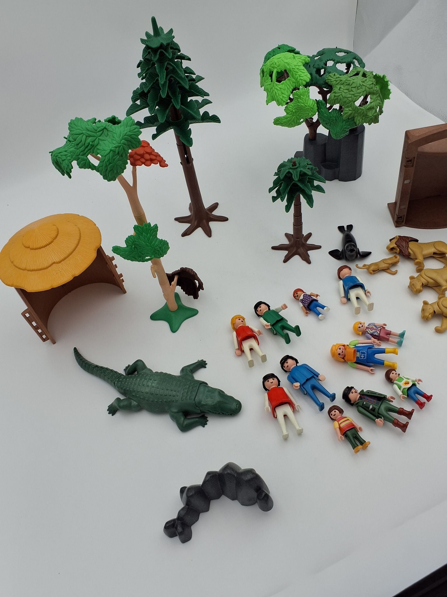 Zoo/jungle playmobil