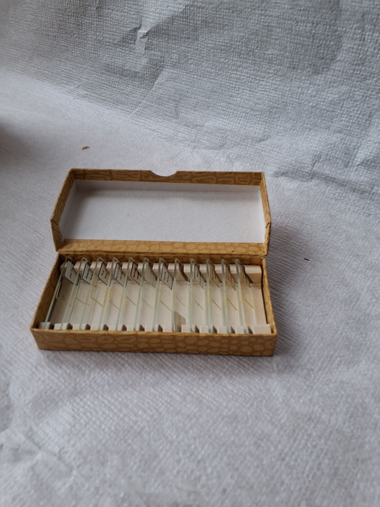 Vintage Microscop