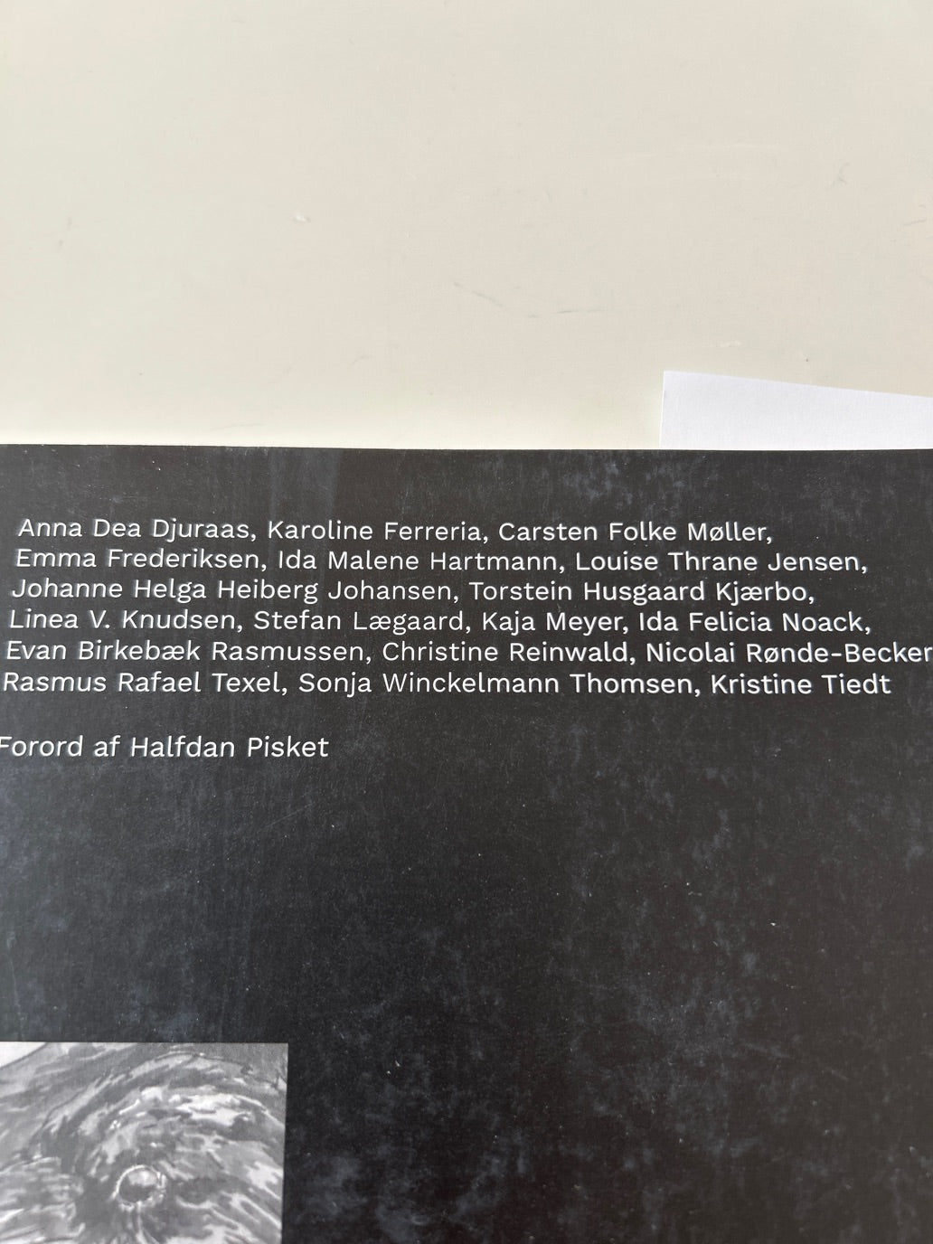 FØRSTE en tegneserie - antologi
