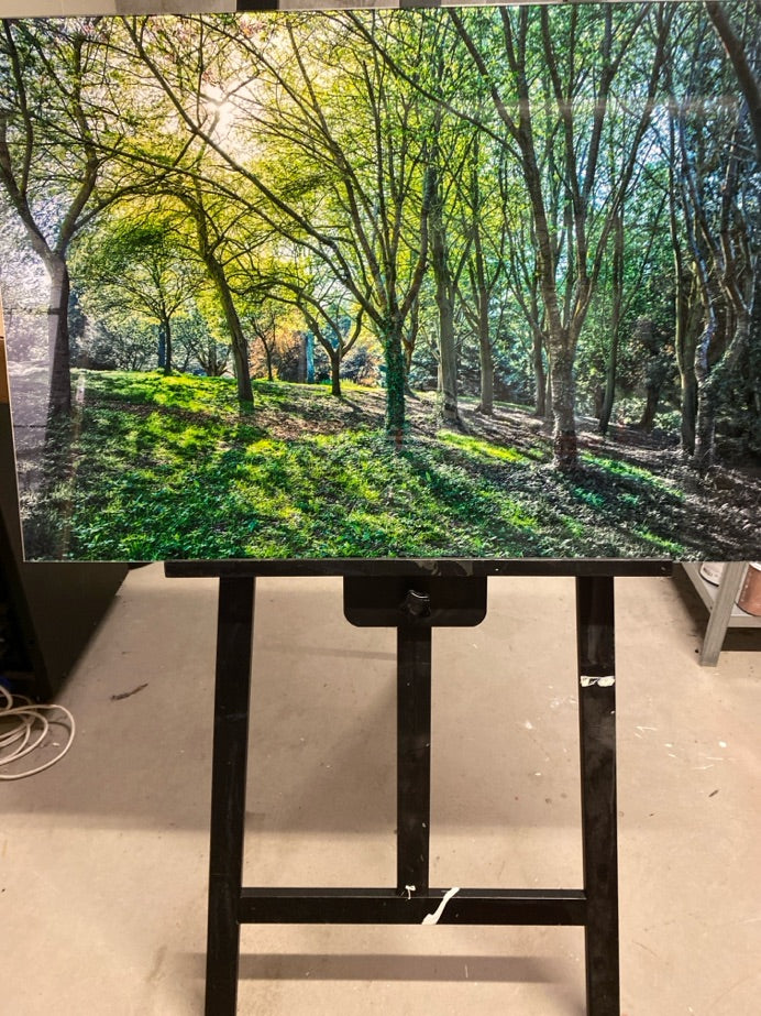 Kunst- Colourbox of Fishponds /nature