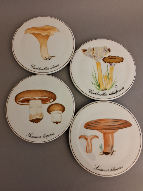 Svampeplatter, B&G, 11 stk