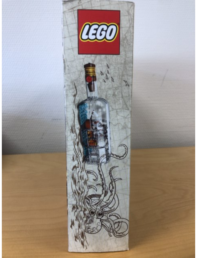 LEGO IDEAS' nr. 21313