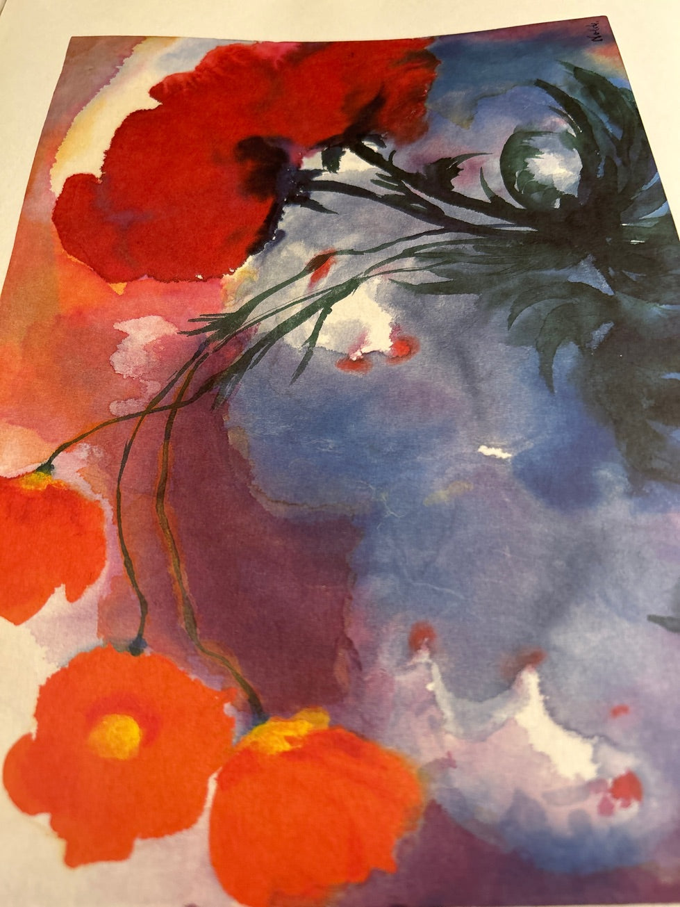 Nolde visiones acuareles