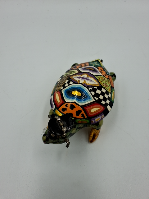 Toms Drag Turtle