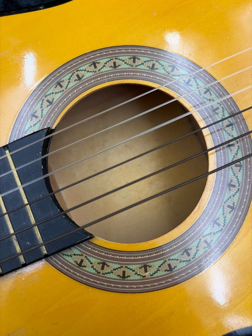 Guitar