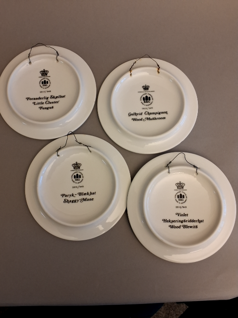 Svampeplatter, B&G, 11 stk