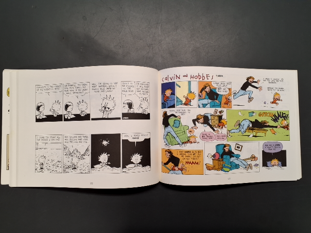Homicidal Psycho Jungle Cat A Calvin and Hobbes collection