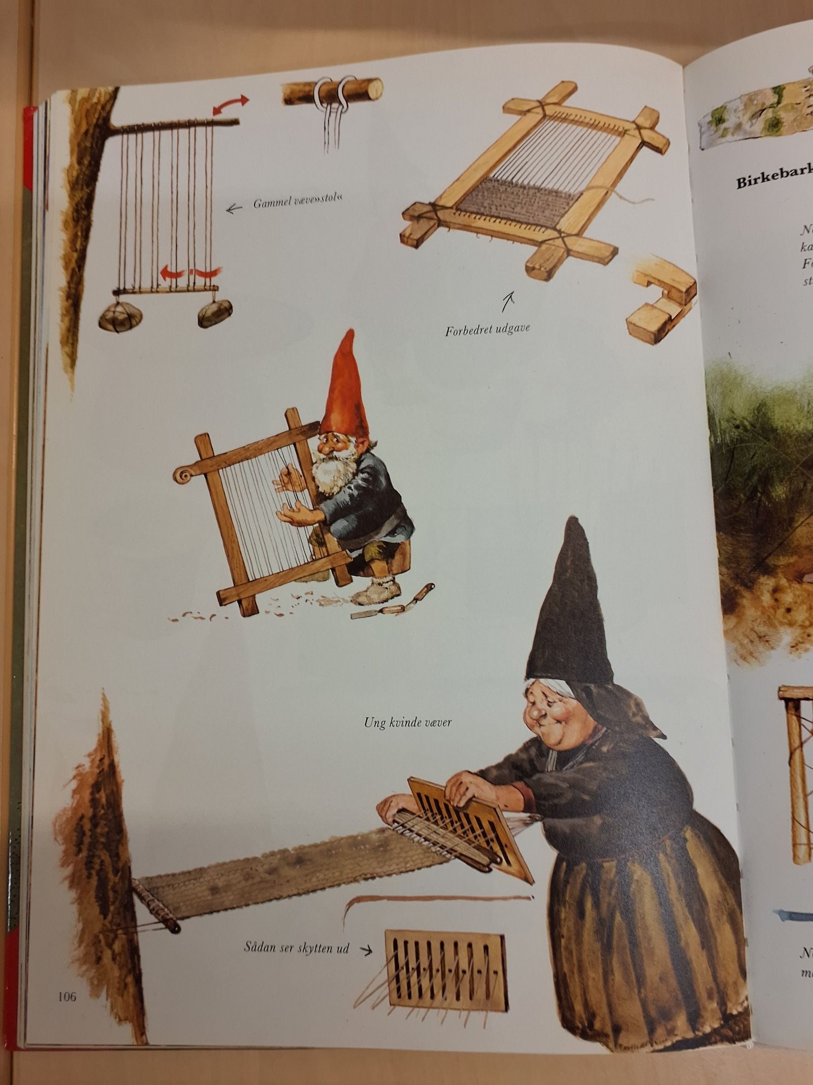 Nisser i hverdag og fest
