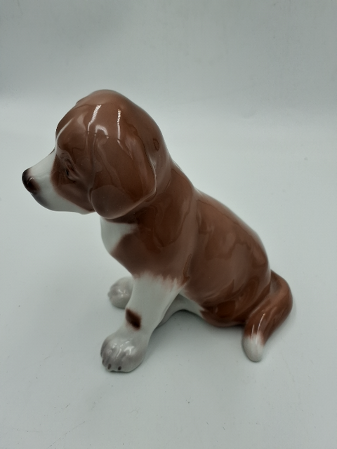 RC Hund 1926