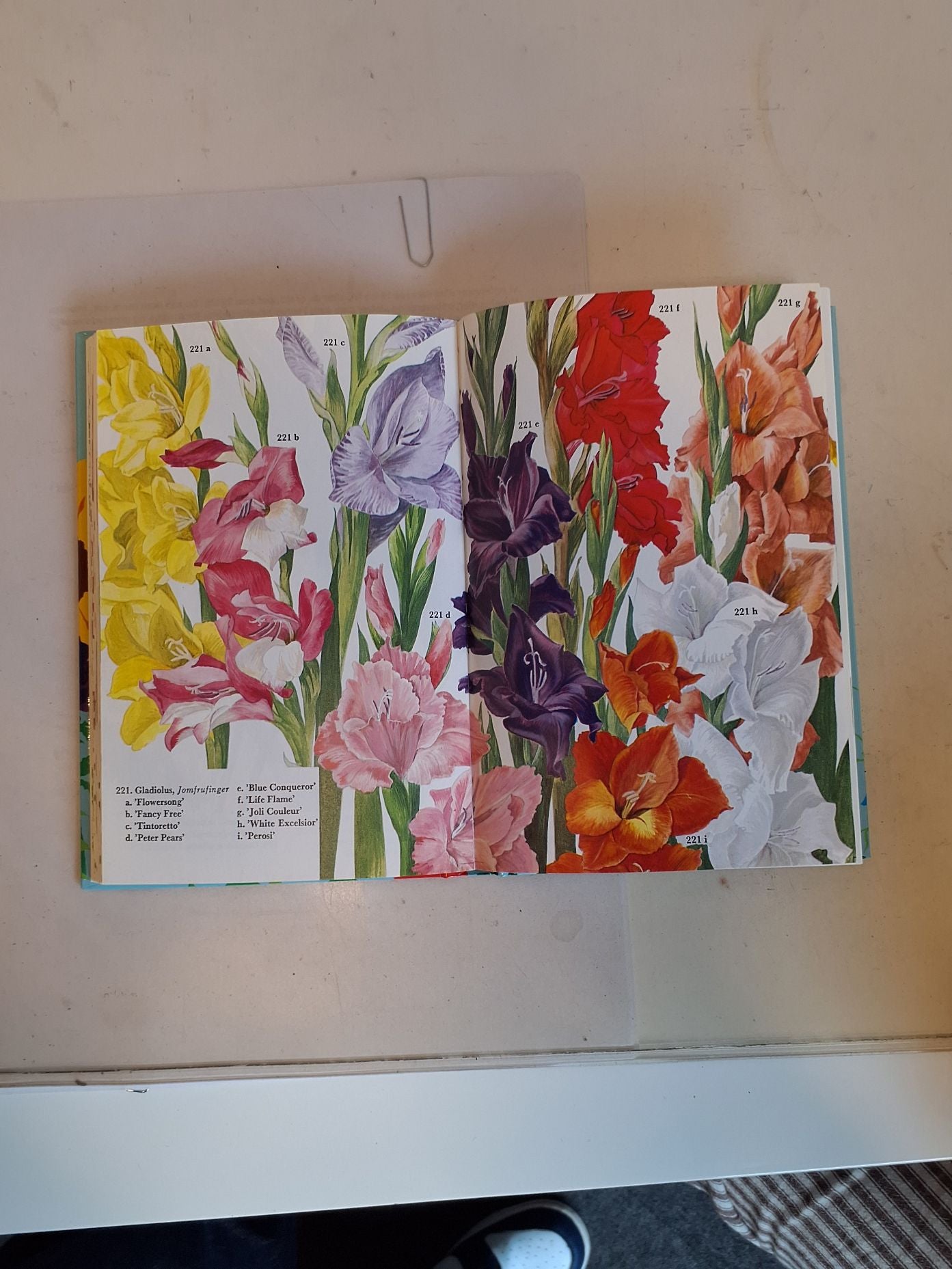 Havens blomster 1