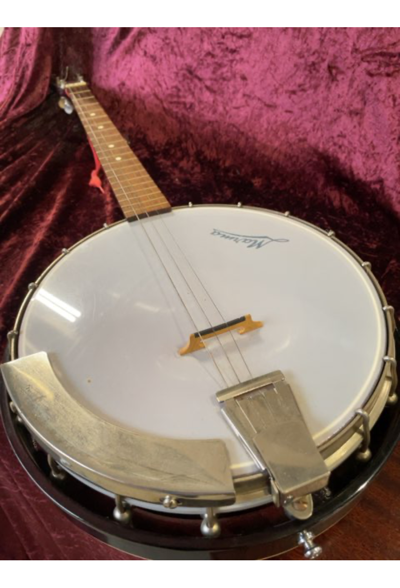 Banjo med 4 strenge