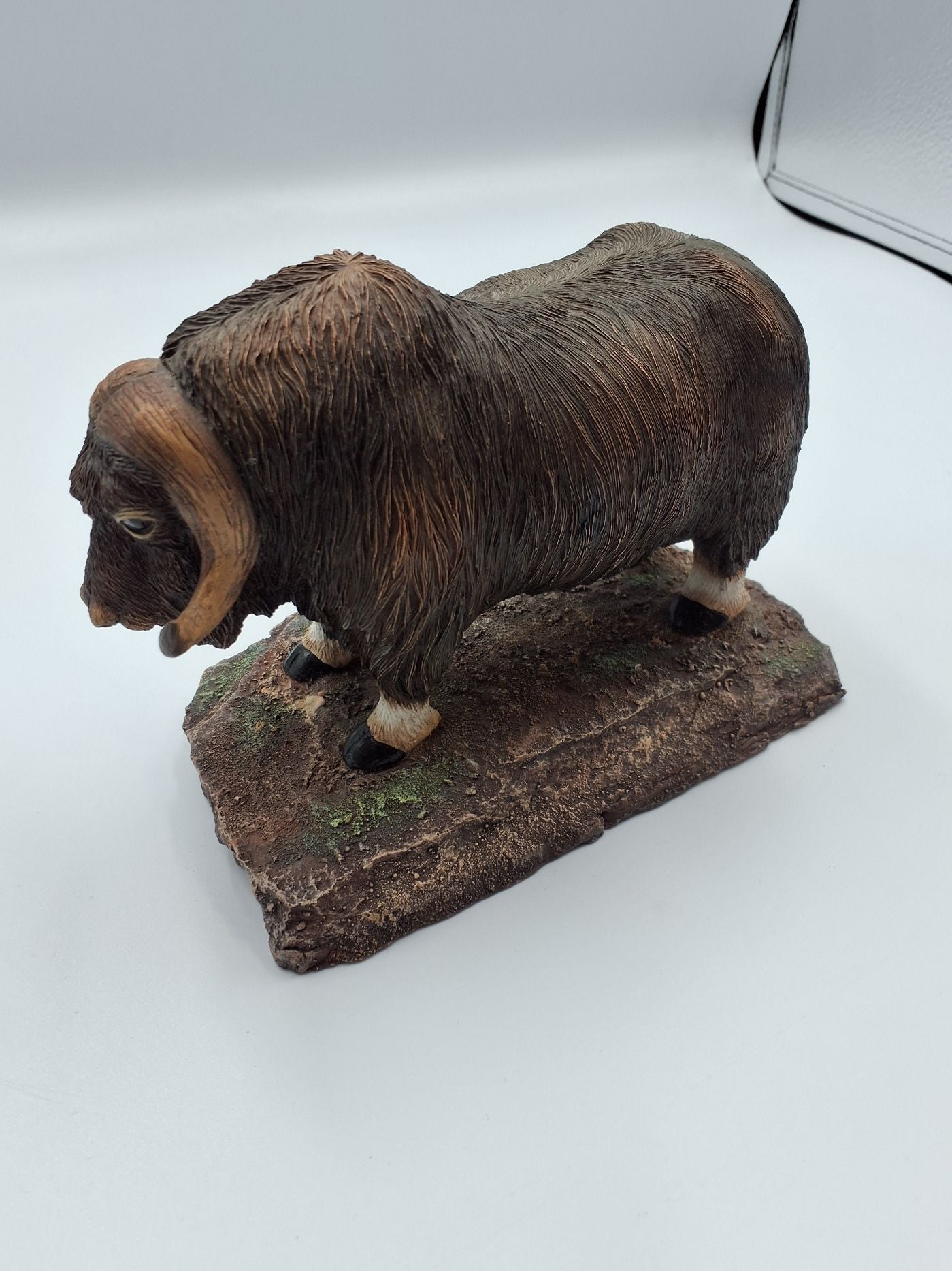 Bison okse