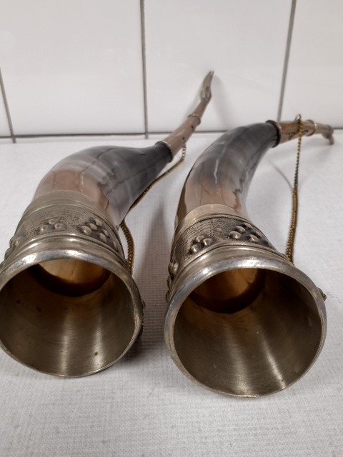 Signalhorn