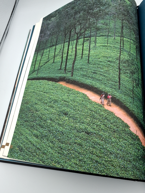Bog: Blixen Tours