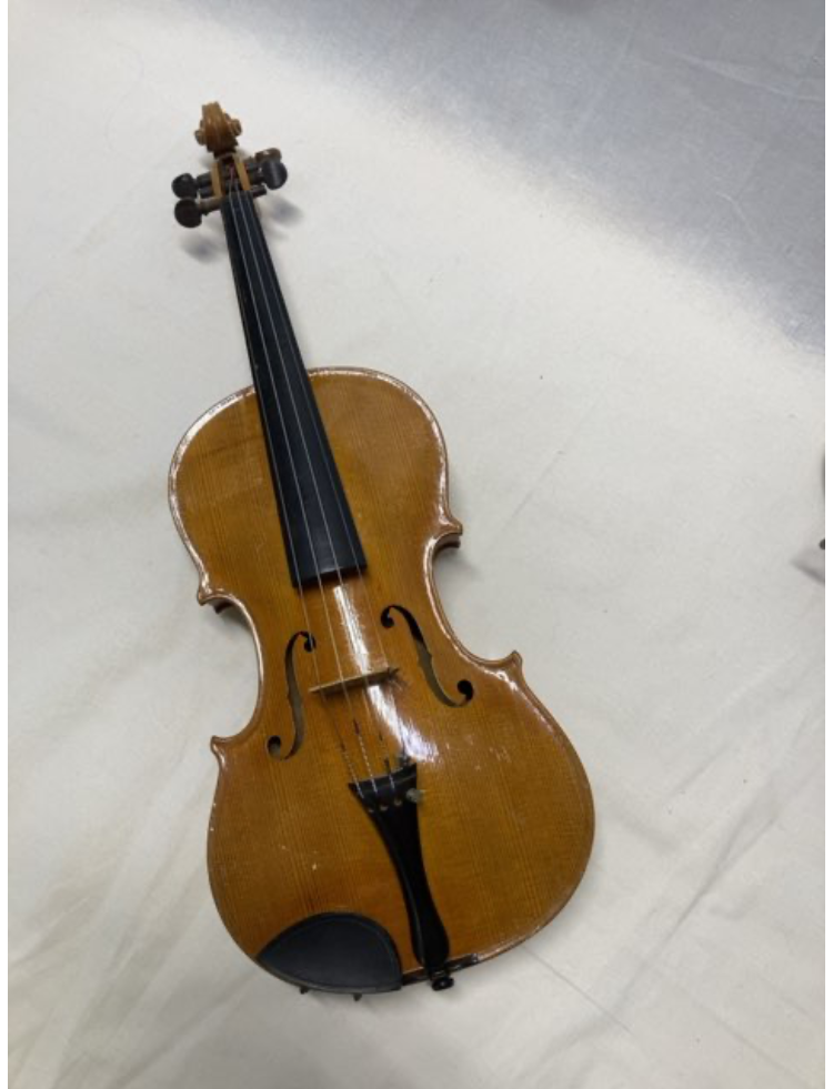 Violin