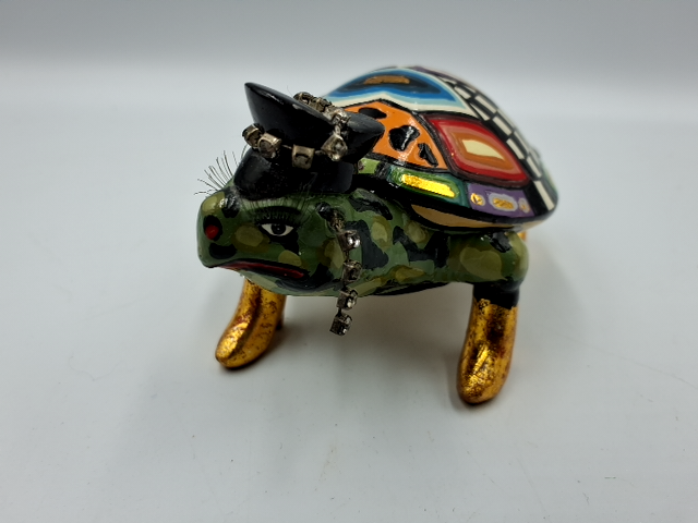 Toms Drag Turtle