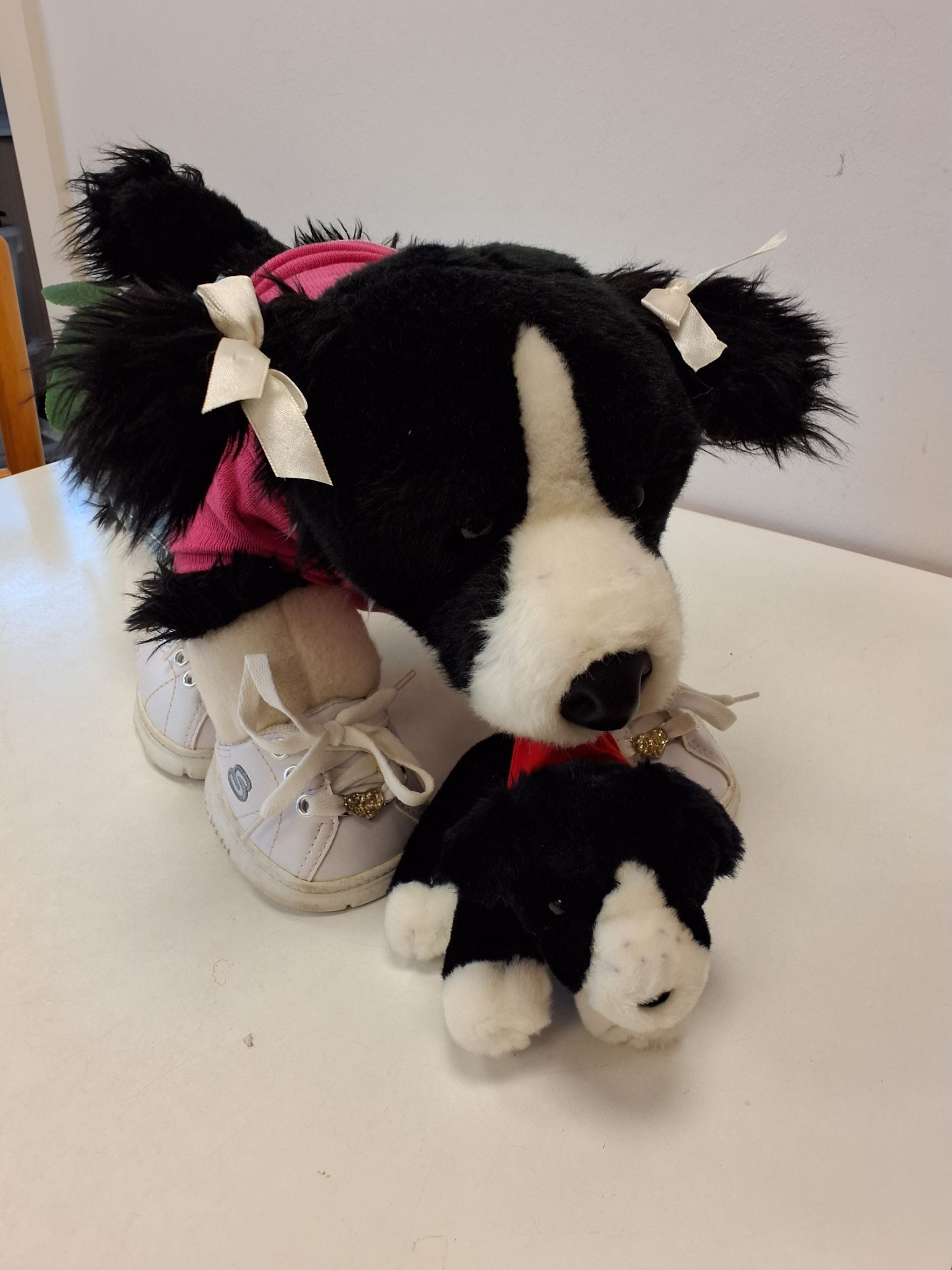 Build a  collie