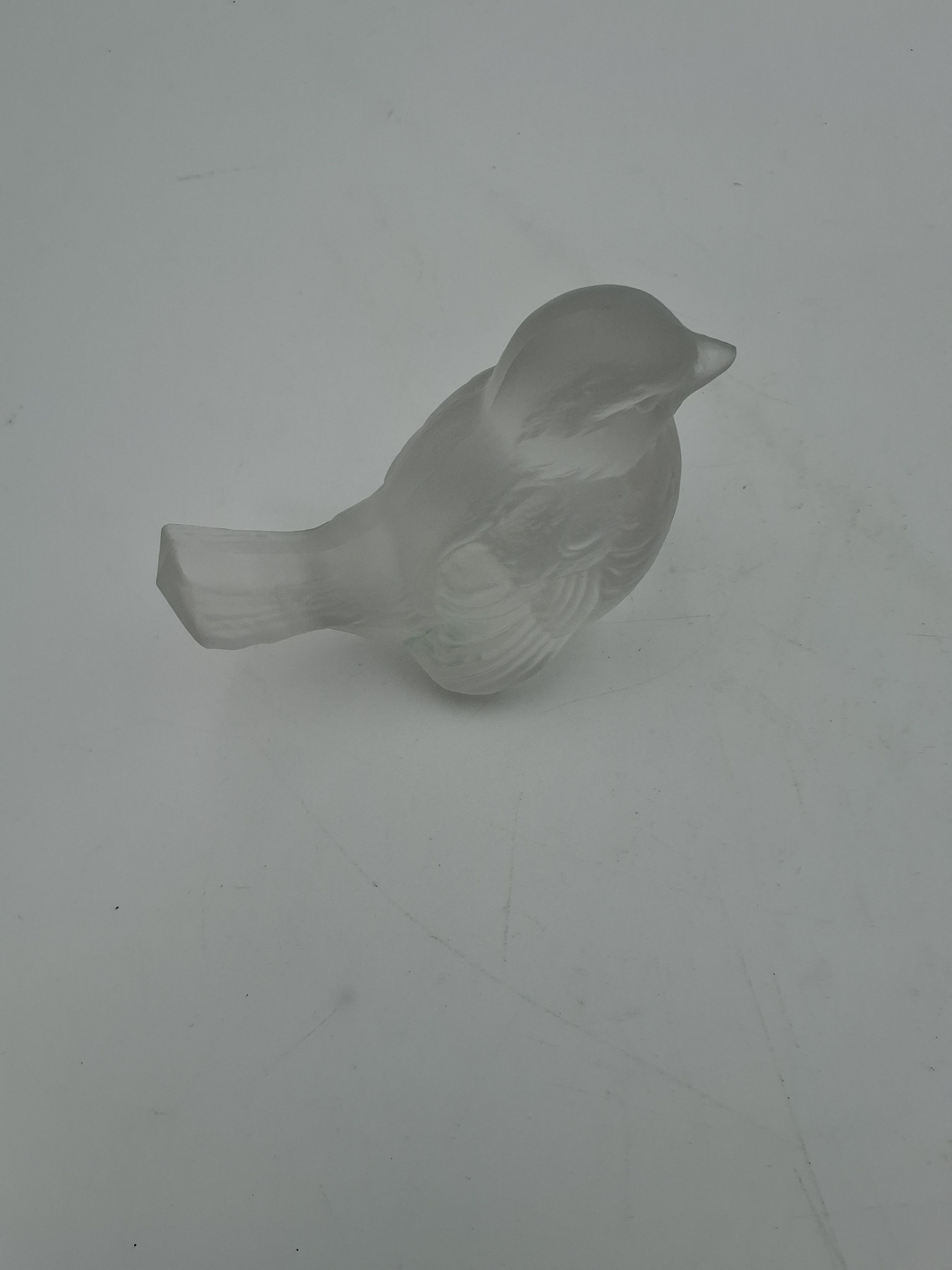 Goebel fugl