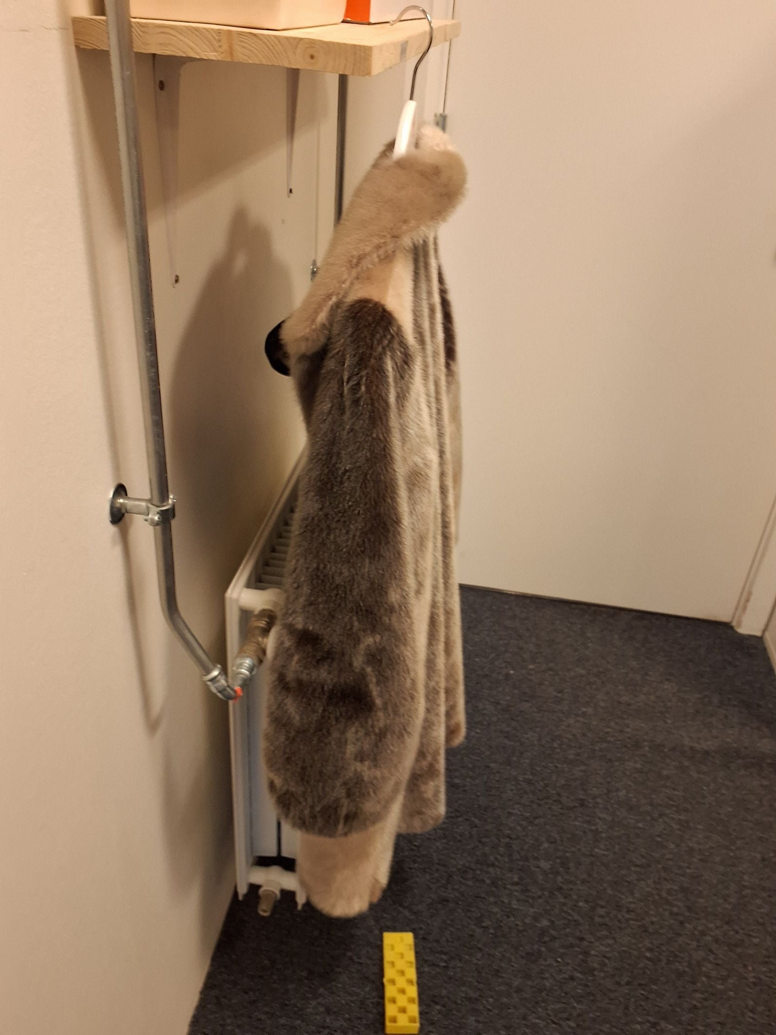 Sælpels