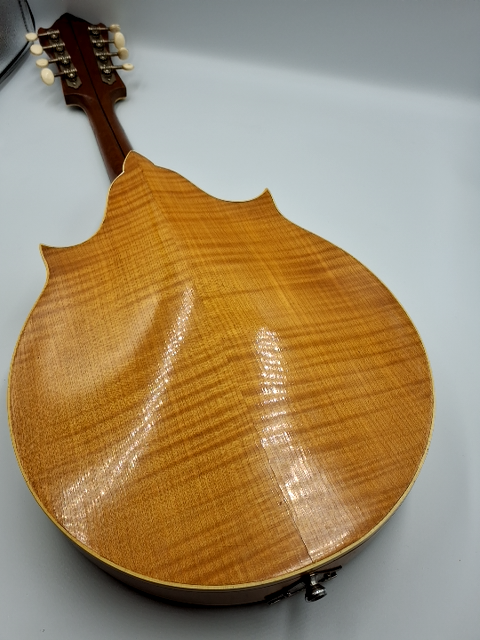 Vintage Mandolin Levin