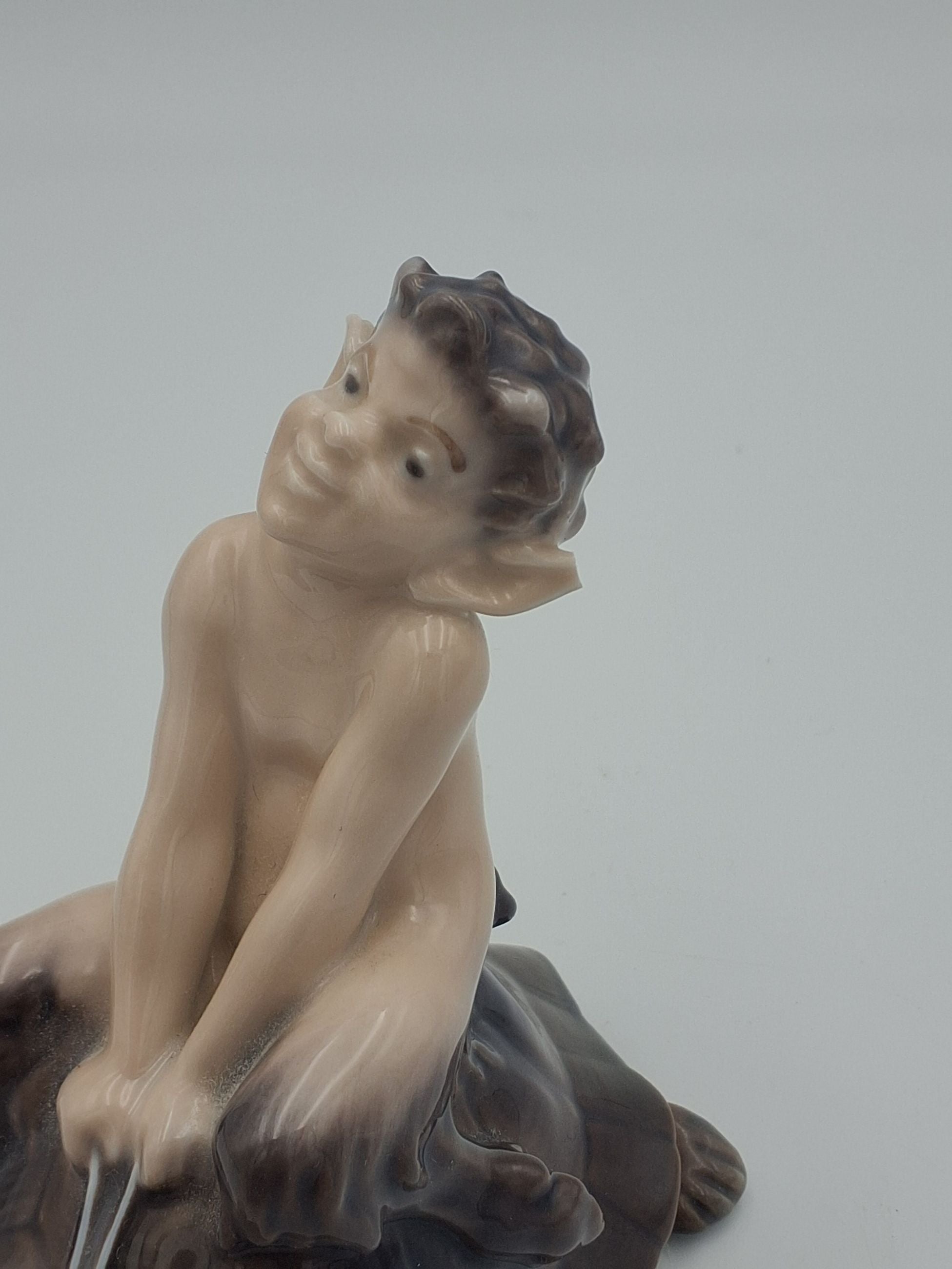 Faun på skildpadde