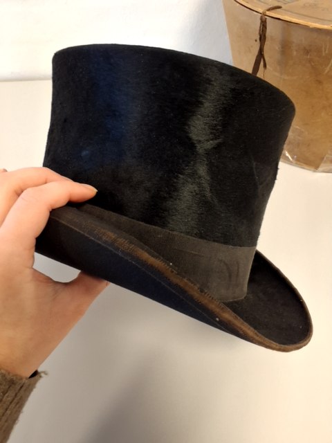 Hat (pels)