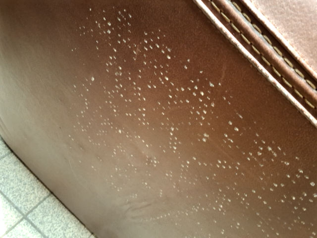 Sofa læder 1
