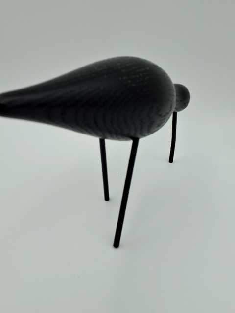 Stor, Normann copenhagen, shorebird