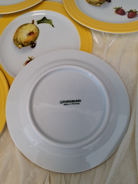 Norsk porcelæn Porsgrunn Citron service