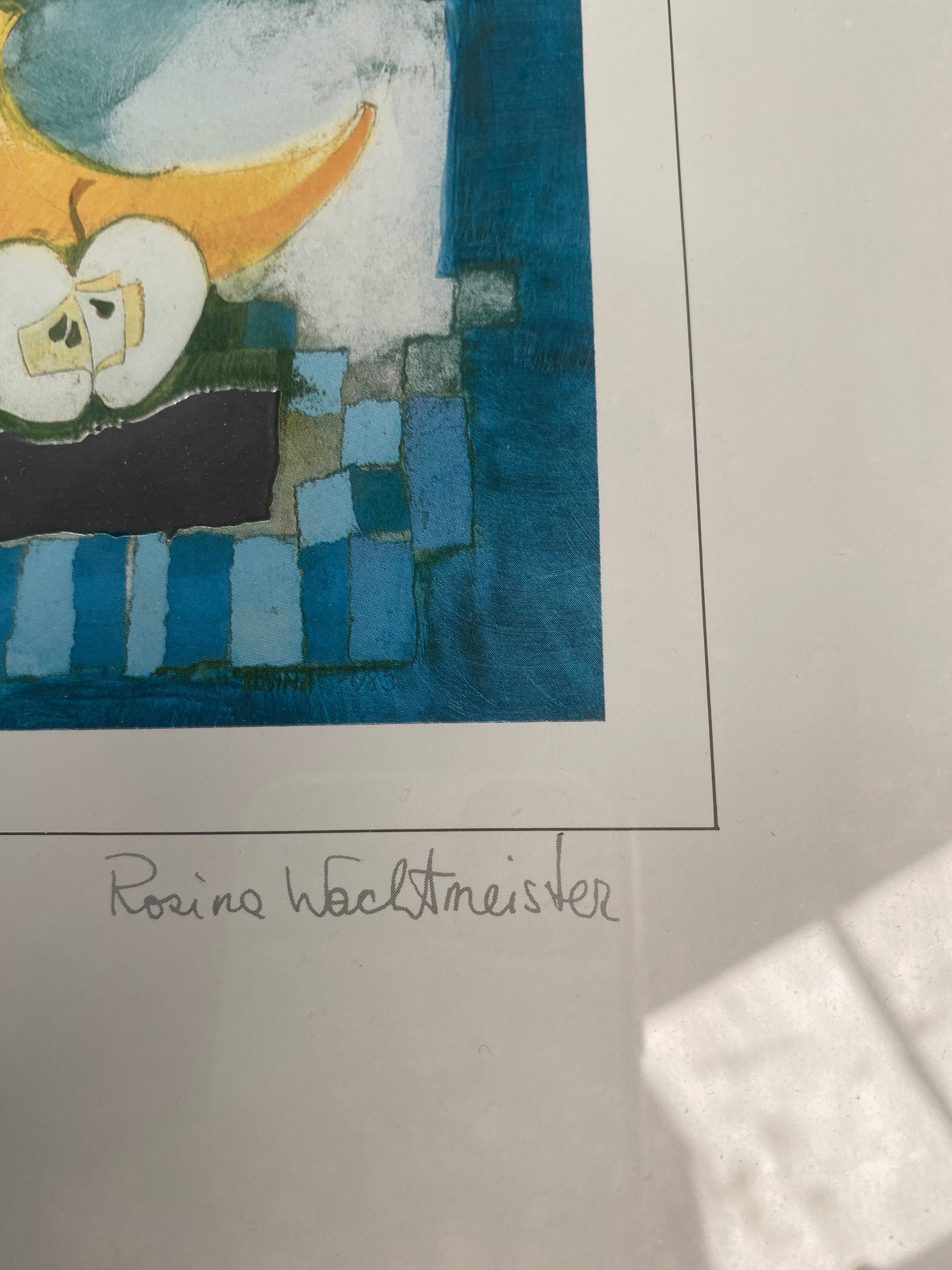 Rosina Wachtmeister tryk