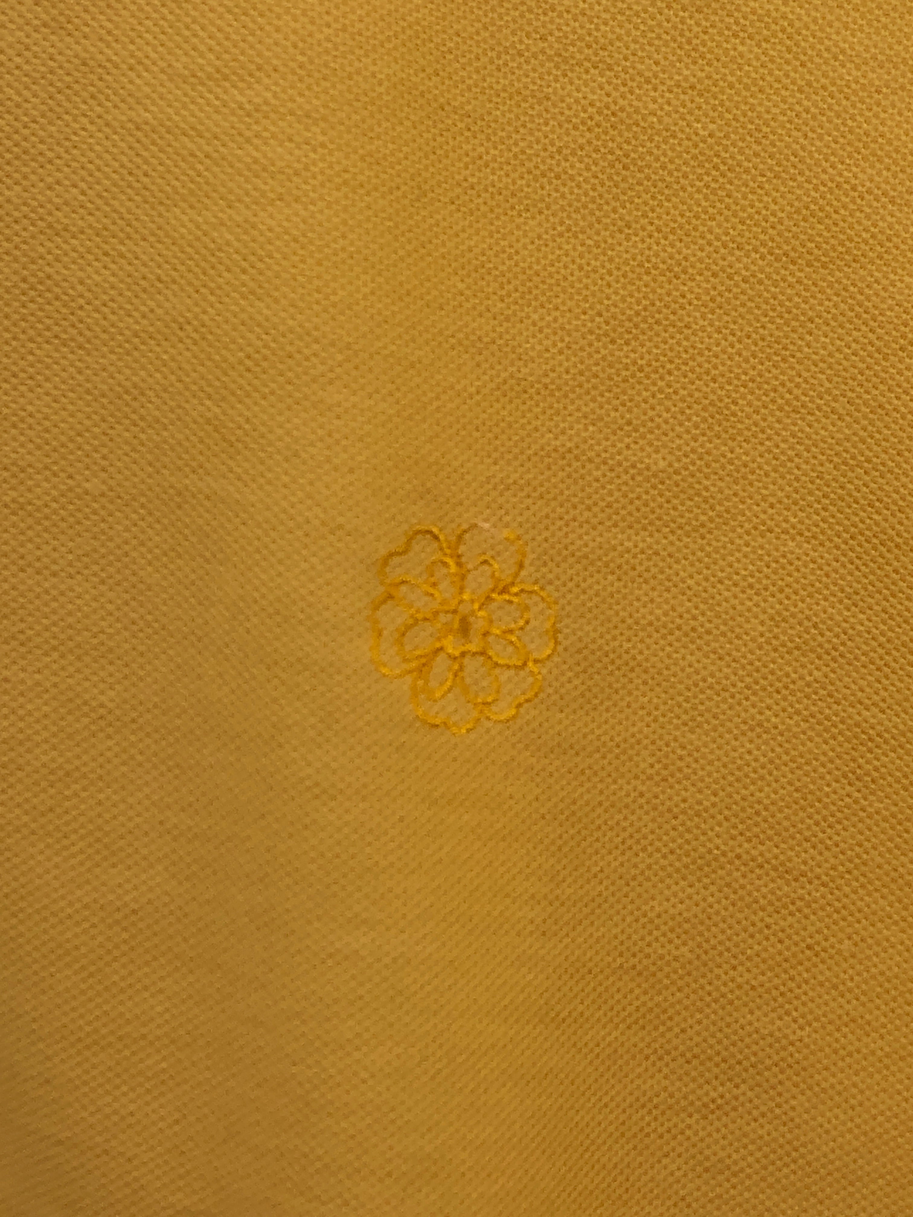 MCO Polo