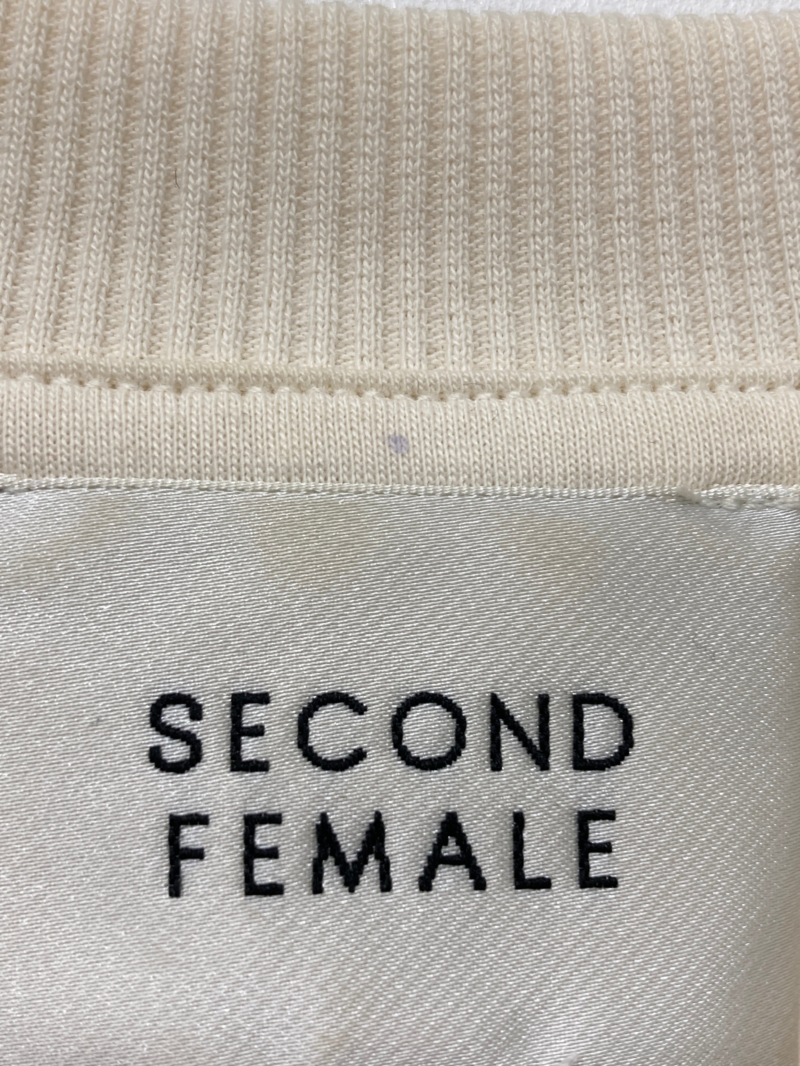 Second Female Bluse