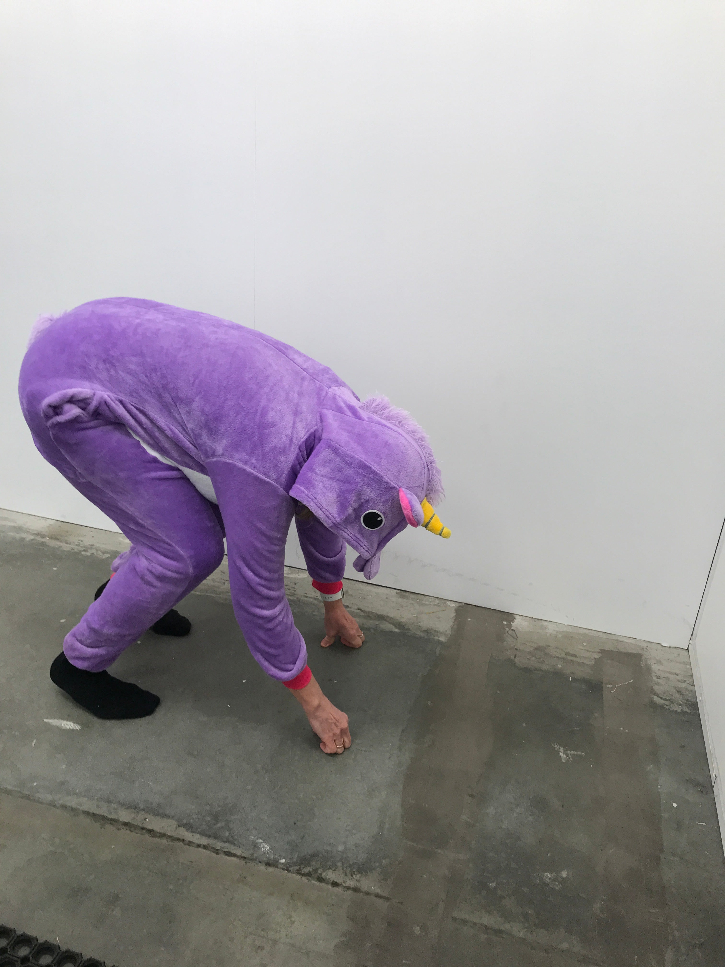 Enhjørningedragt