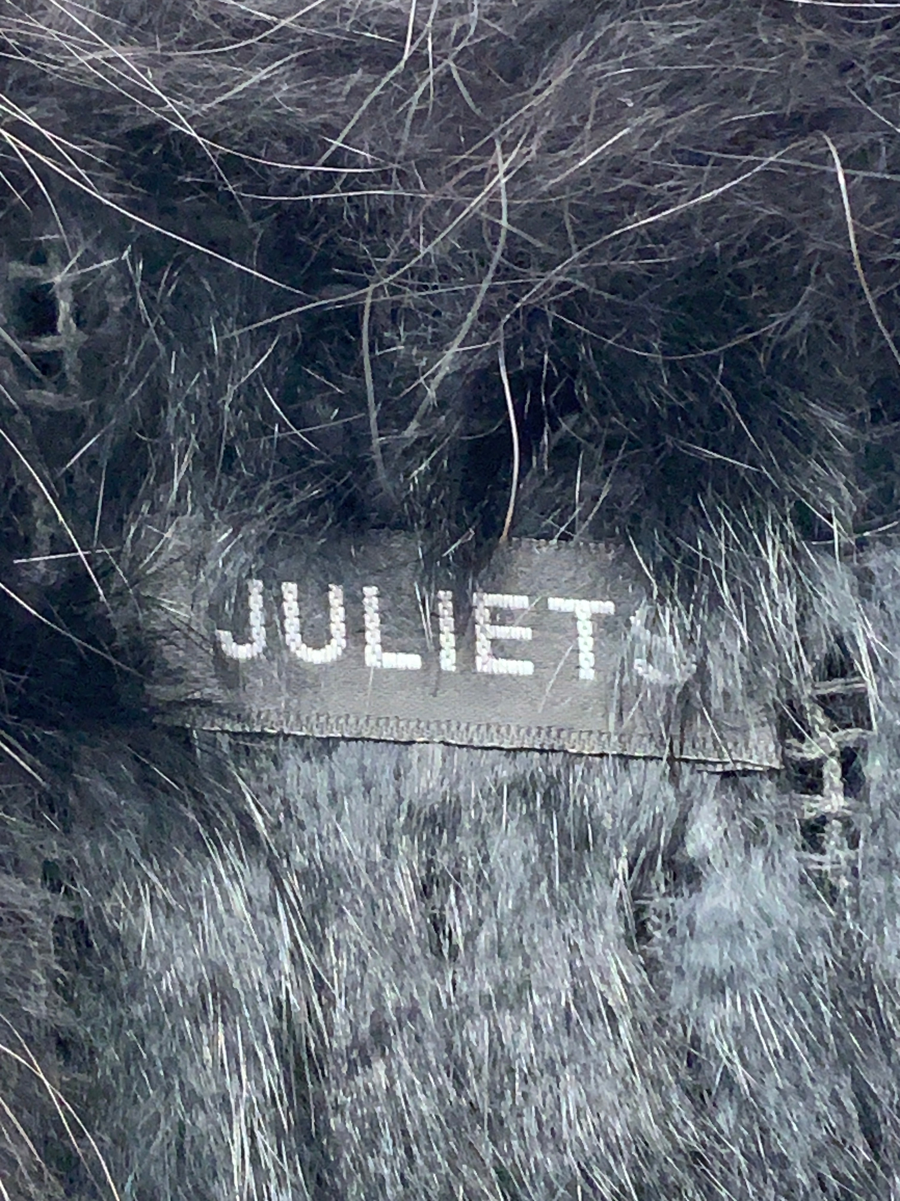 Juliets Vest