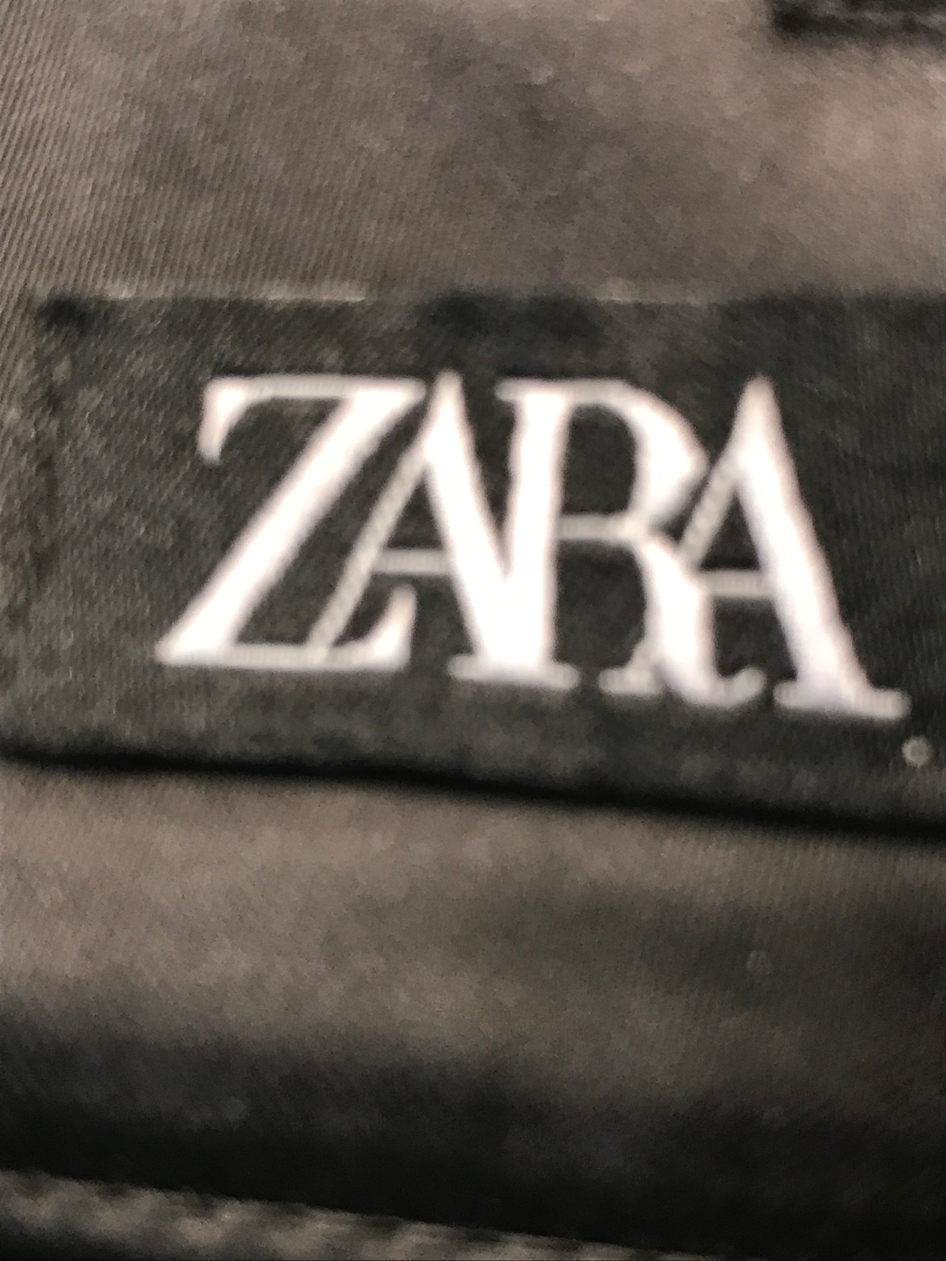 Zara Shorts