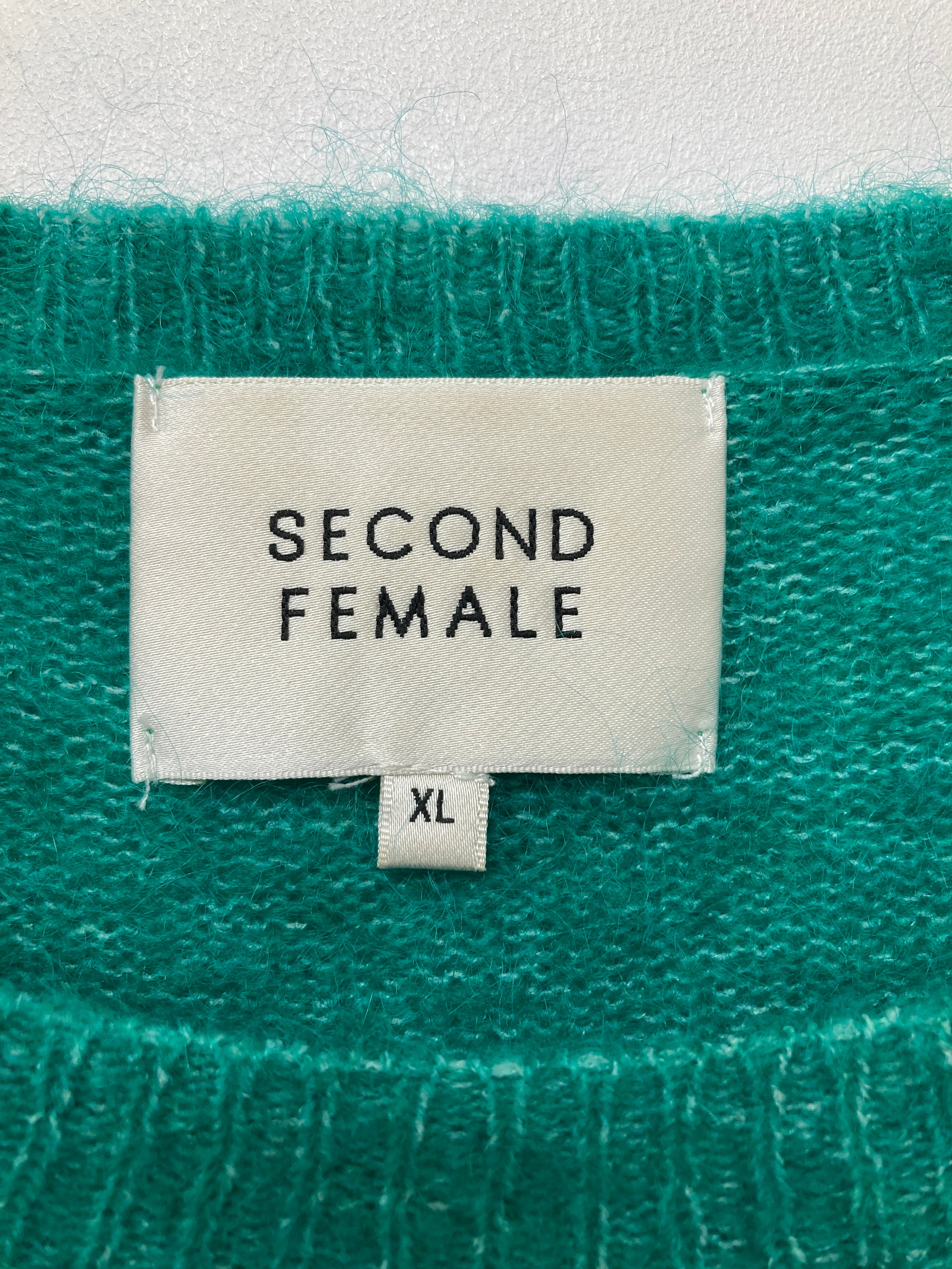 Second Female Strik