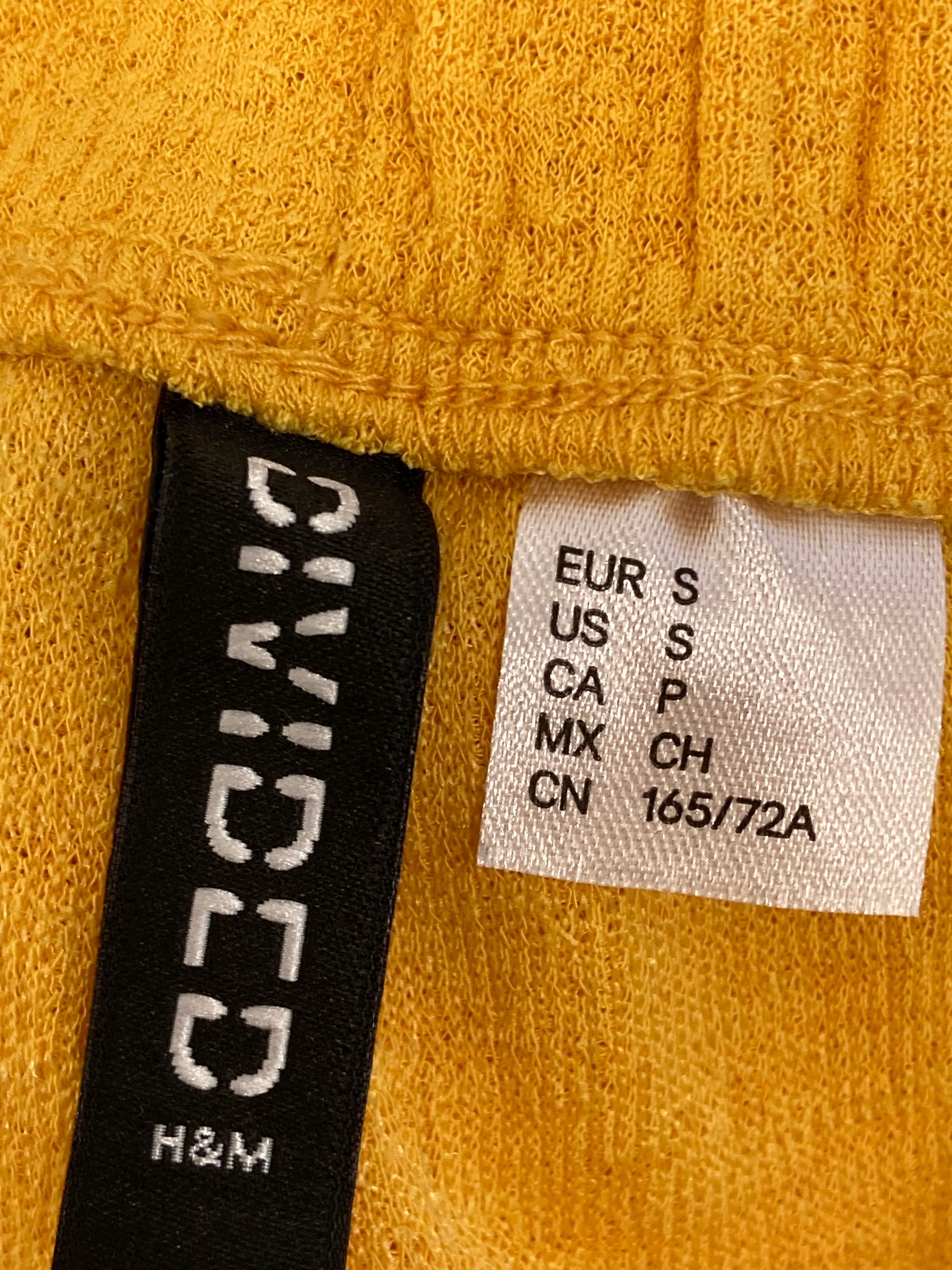 Divided Shorts