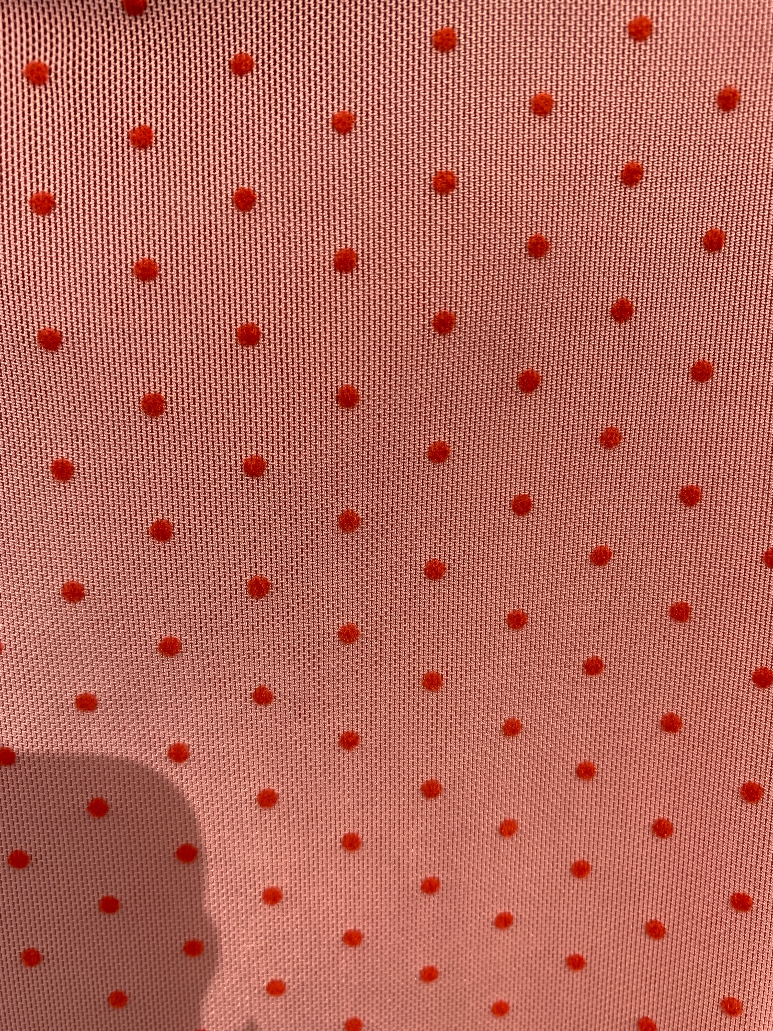 Liberté Essentiel Shorts