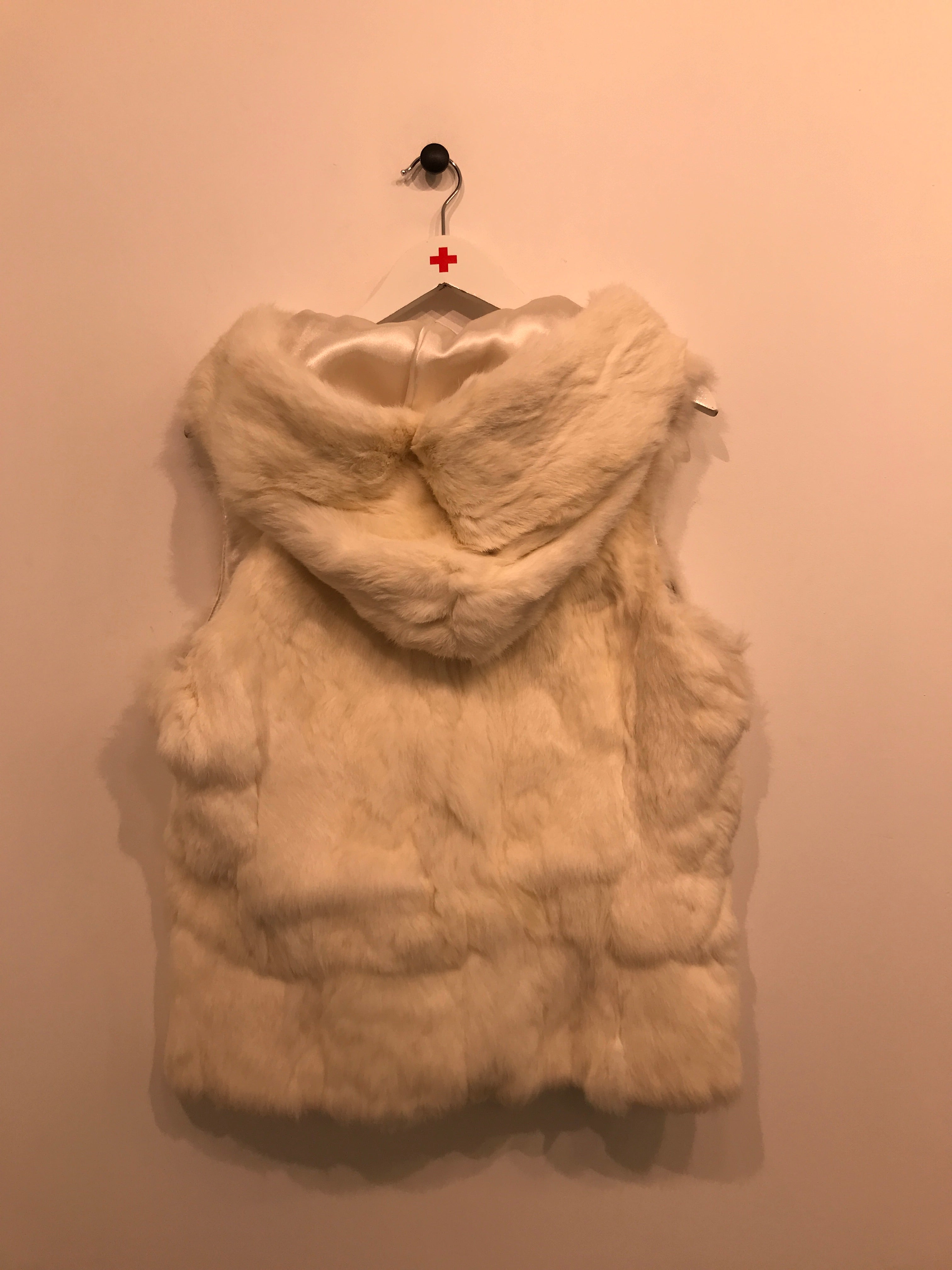Visual Vest