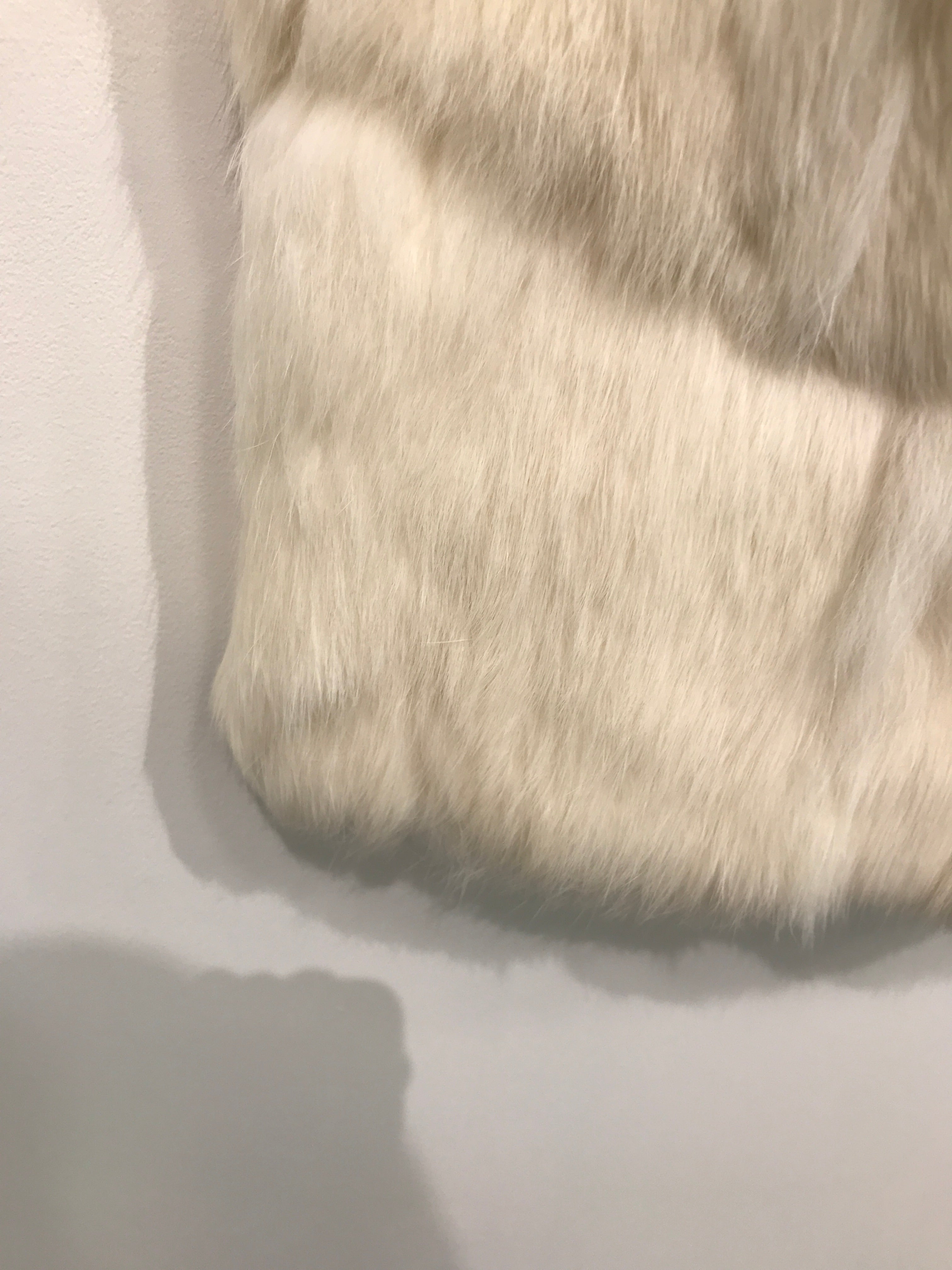 Visual Vest