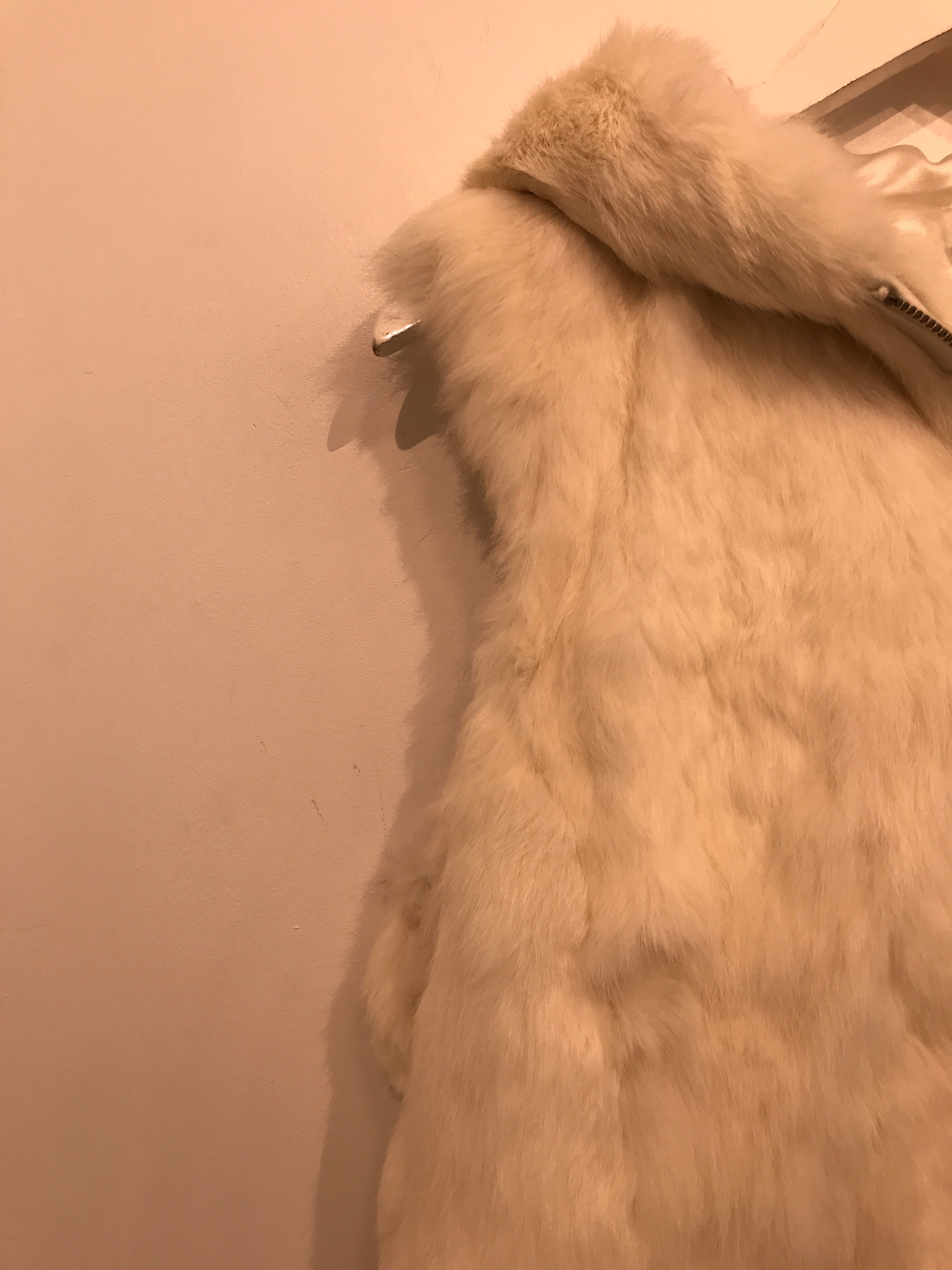 Visual Vest